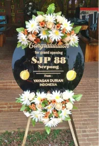 Grand Opening Kepulauan Meranti